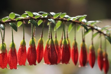 深圳坪山区2私人快速借钱网，轻松解决资金难题