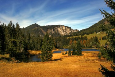 深圳坪山区2民间私贷攻略：揭秘低成本借贷的秘密