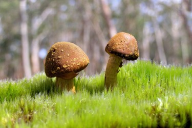 深圳坪山区2私人老板放款：轻松融资的秘密通道